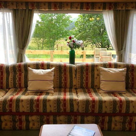 61 Glenfinart Caravan Park ダヌーン エクステリア 写真