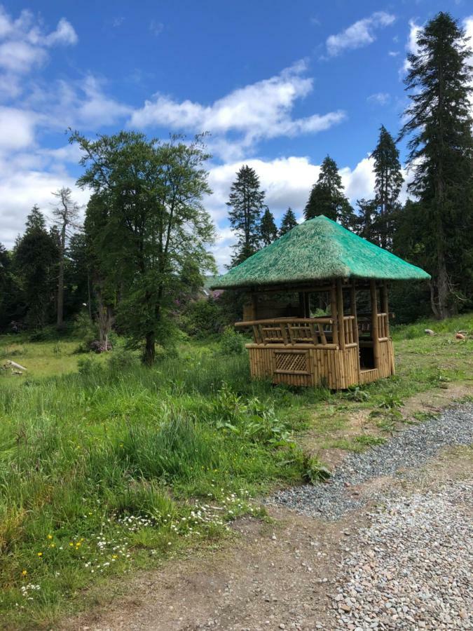 61 Glenfinart Caravan Park ダヌーン エクステリア 写真