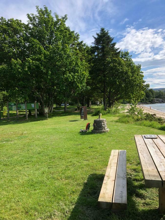 61 Glenfinart Caravan Park ダヌーン エクステリア 写真